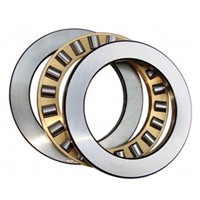 81113 TN SKF cylindrical roller thrust bearings