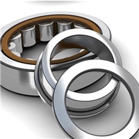 RNU 206 ECP SKF cylindrical roller bearing, single row, without an inn
