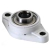 FYTWK 25 YTA SKF Two bolt oval flanged food Line , grub screw locking