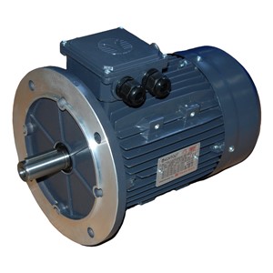 0.06kw 4Pole B5 TECA TEC Flange Motor 56M4A-TECA