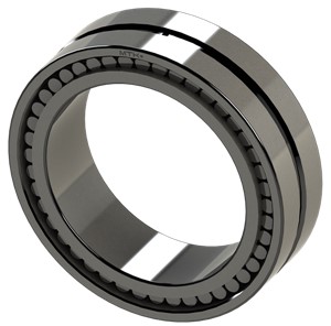 SL02 4992 A MTK Full Complement Cylindrical Roller Bearing