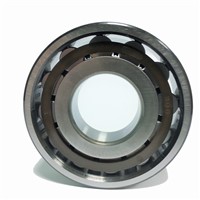 N206 ECP SKF single row with axial displacement in both directions