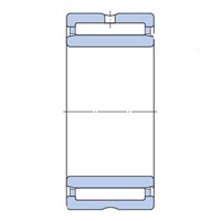 NA4919 SKF needle roller bearing with inner ring, single row