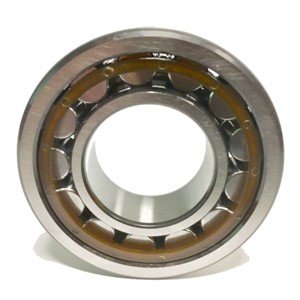 NU313 ECP/C3 SKF Cylindrical Roller Bearing