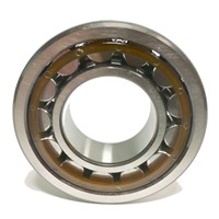 NU313 ECP/C3 SKF Cylindrical Roller Bearing