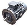 30.0kw 2Pole B5 IE2 TECC TEC C/I Motor Flange 200LA 55M 30.0kw 2Pole B5 IE2 TECC TEC C/I Motor Flange 200LA 55M